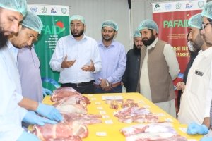 Training on Static Flaying Frame and Meat Tracibility at UVAS Lahore December 2022